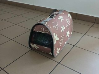 Dzień bez plecaka
