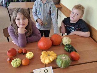 „LITERKI W AKCJI” – JESIENNE ZADANIE KLASY 1a